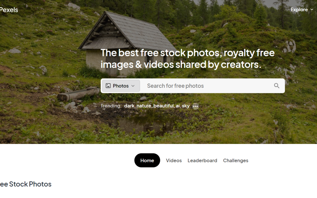Gratis billeder – Find +60 sider med Free Stock Photos